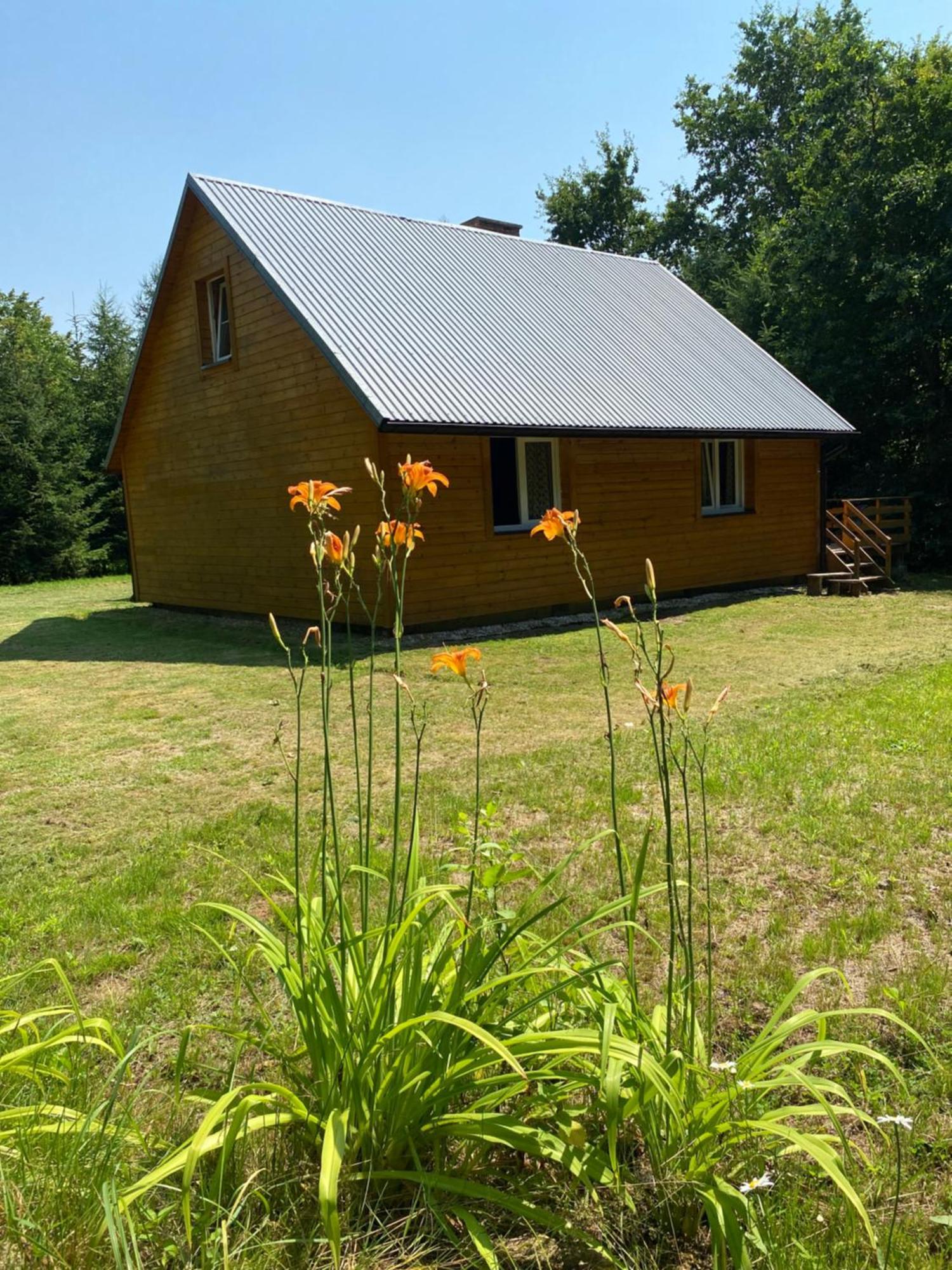 Domek W Lesie Czerce Exterior foto